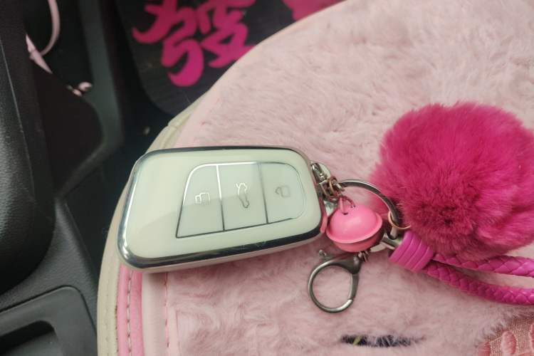 Used Chery Little Ant 2019 4-Seater Smart Edition 30.6 kWh
