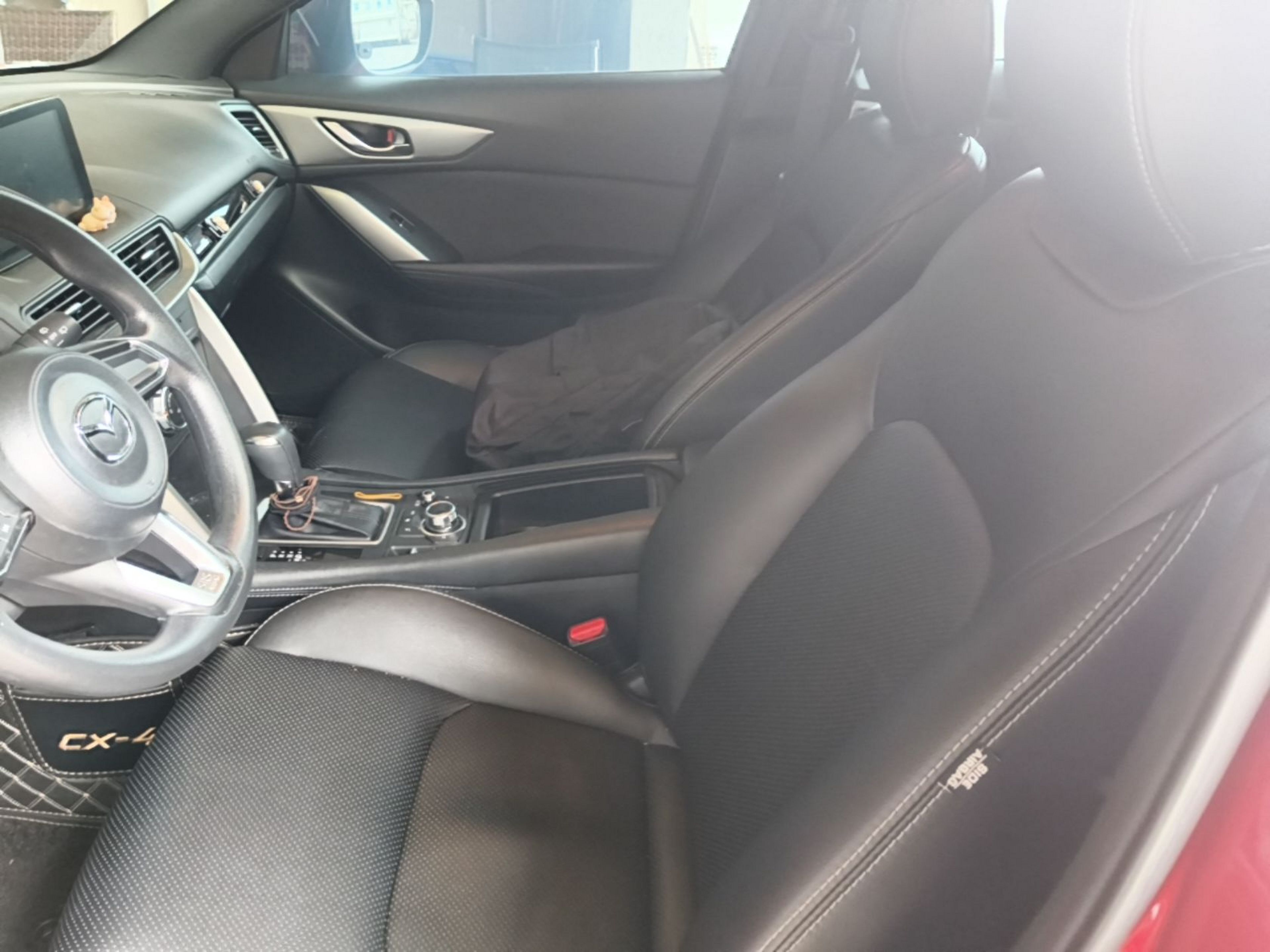 Interior delantero