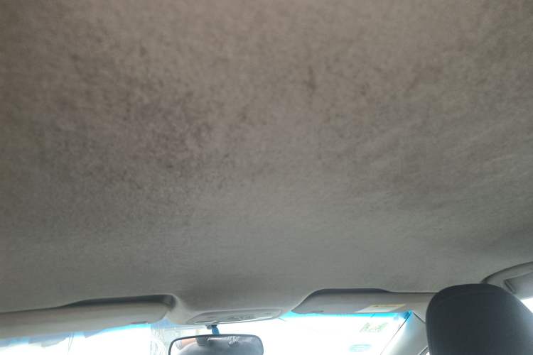 Used Chevrolet Cavalier 2016 1.5L Automatic Enjoyment Edition Headliner