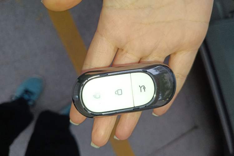 Used Leapmotor C11 2023 Range-Extended 285 Smart Enjoyment Edition
