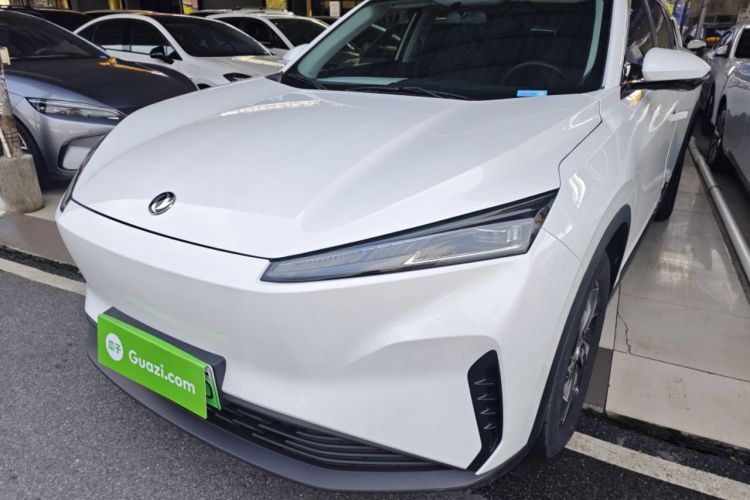 Used Dongfeng Aeolus SKY EV01 2024 530km PRO