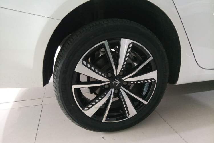 Used Rising ER6 2021 New Dynamic Edition 620km Smart Drive Version