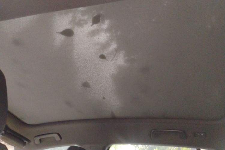 Used Volkswagen ID.4 X 2021 Pure+ Long-Range Edition Headliner