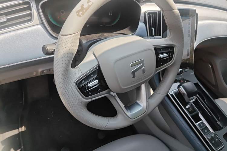 Used Rising ER6 2020 620 km Smart Edition
