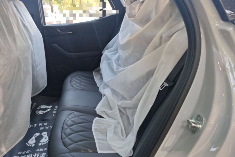 Used Hengchi 5 2022 Ultra-Luxury Edition Left Rear Seat