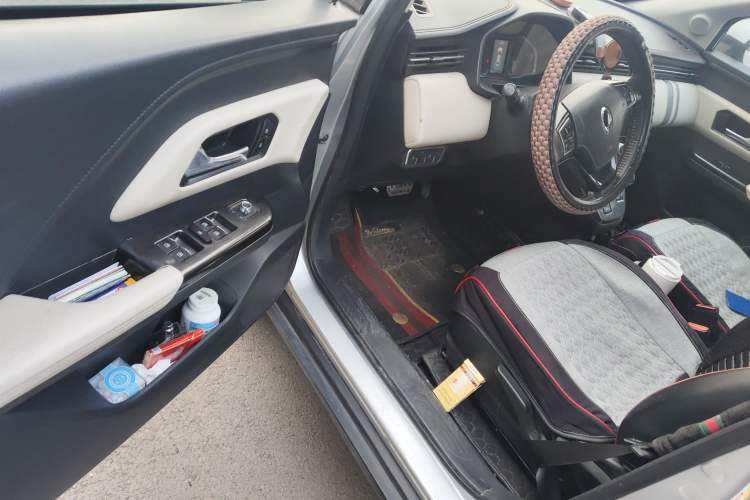 Used ORA iQ 2018 High-Range Version Smart Connectivity Model
