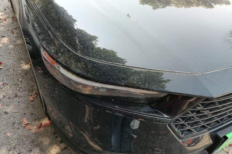 Used Honda Accord 2024 260TURBO Luxury Edition