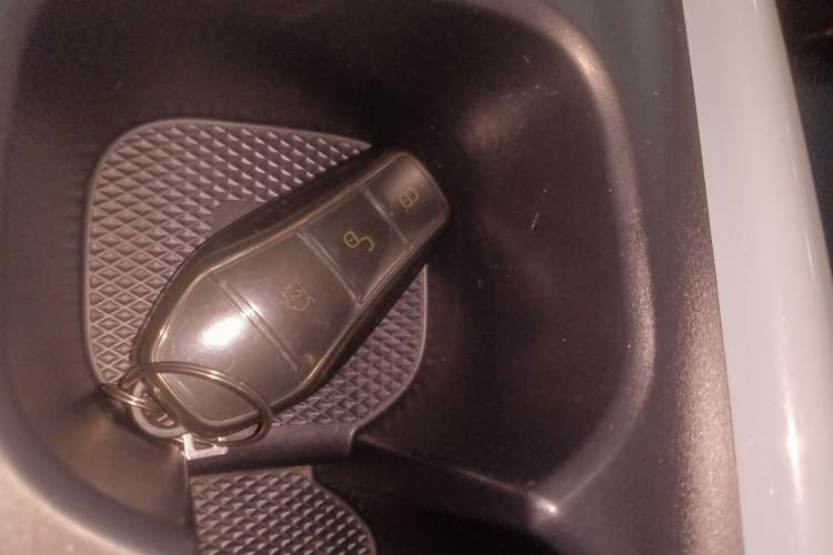 Used BYD Seagull 2023 Free Edition Vehicle Key