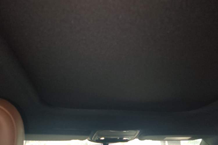 Used Lincoln Aviator 2020 3.0T V6 Four-Wheel Drive Zunya Edition Headliner