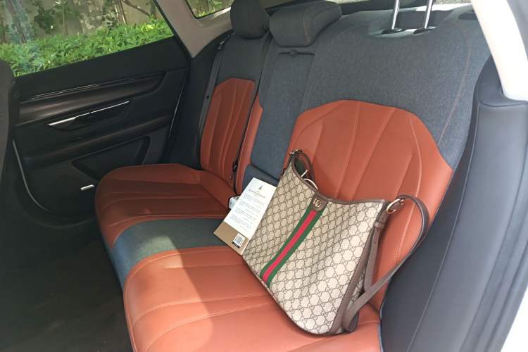 Used XPeng P7 2020 Rear-Drive Long-Range Smart Drive Version Left Rear Seat