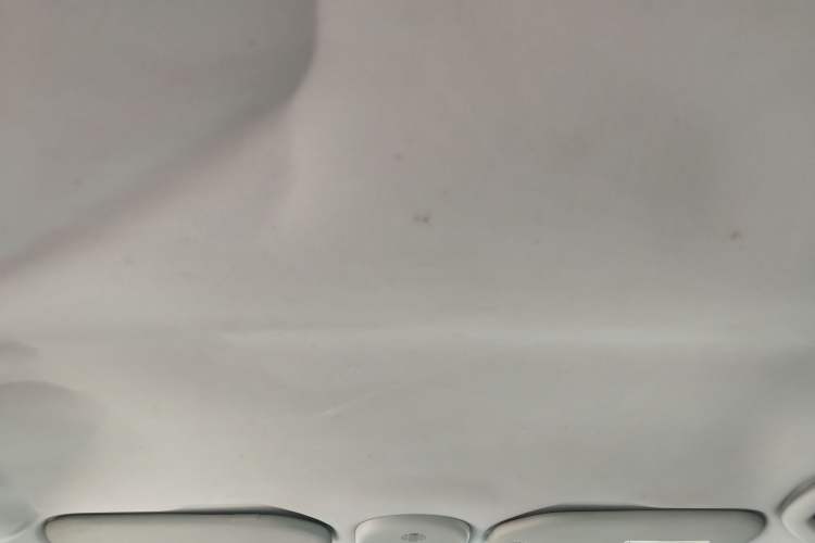 Used Citroen C-Quatre 2013 1.6L Manual Prestige CNG Model Headliner