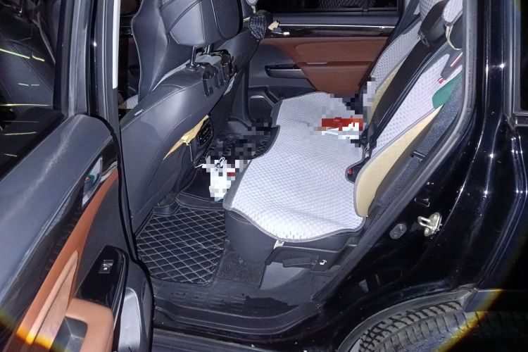 Used GAC Trumpchi GS8 2019 390T Two-Wheel Drive Luxury Smart Connectivity Version (7 Seats)