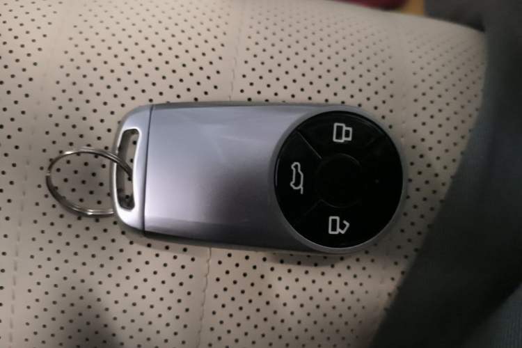 Used ORA Good Cat 2023 401 km Standard Range Premium Version Lithium Iron Phosphate
