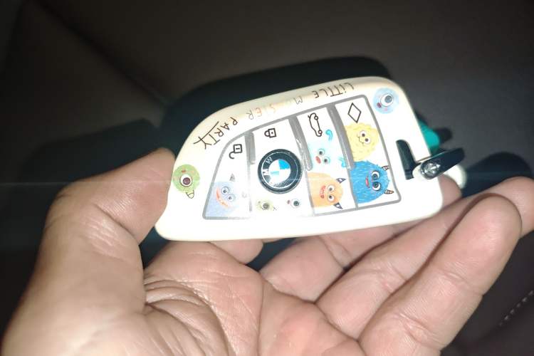 Used BMW X1 New Energy 2021 xDrive30Le Premium Edition