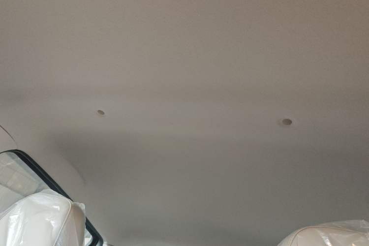 Used SOL E10X 2022 Flower Fairy Design Four-Leaf Clover
