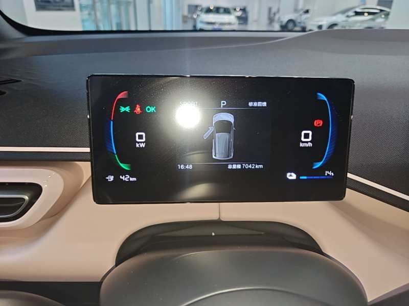 Used BYD Seagull 2025 Intelligent Driving Version 305 km Dynamic Edition — 11