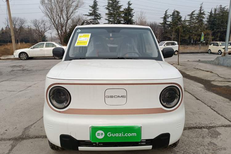 Used Geely Galaxy Panda 2024 Panda Mini 200km Endurance Bear