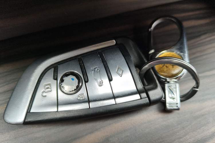 Used BMW 5 Series New Energy 2018 530Le Luxury Package