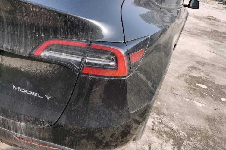 Used Tesla Model Y 2023 Rear-Wheel-Drive Version Exterior 3
