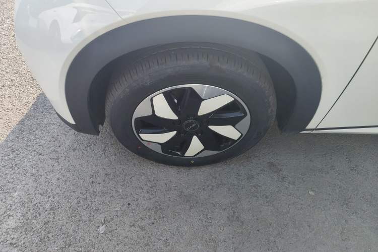 Used BYD Dolphin 2025 420km Free Edition
