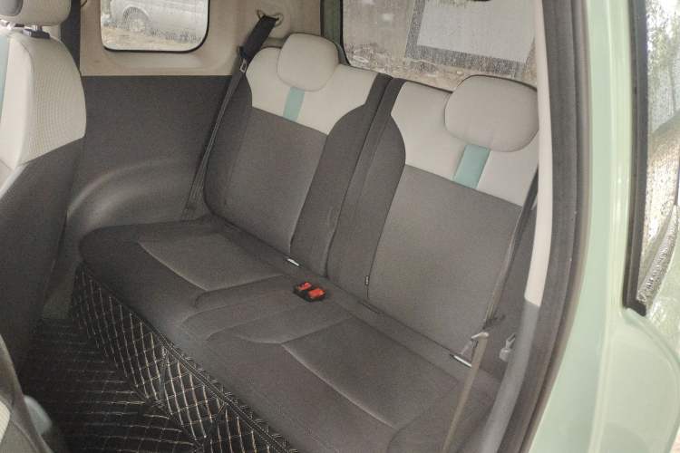 Used Qiyuan Lumin 2022 210km Sweet Edition