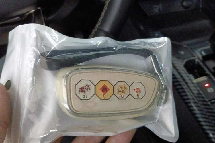 Used Haval H Dog 2023 2.0T Two-Wheel Drive Chaoye Version Plus