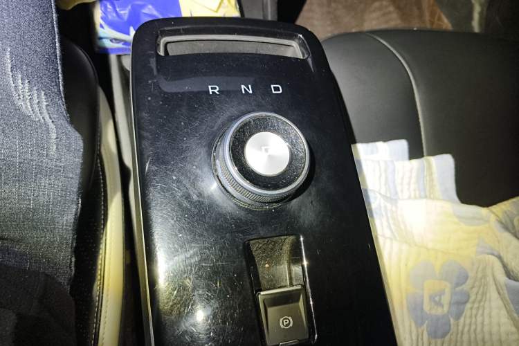 Used Geometry E Firefly 2023 401KM Linglong Tiger 5-Seater