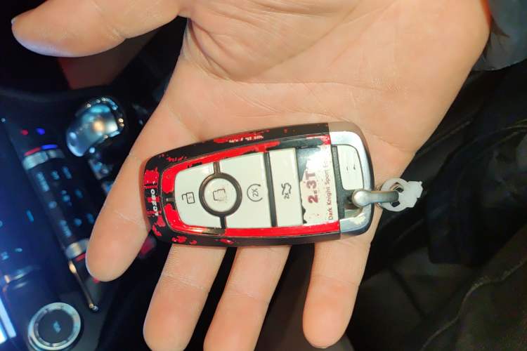 Used Ford Mustang 2019 2.3L EcoBoost
