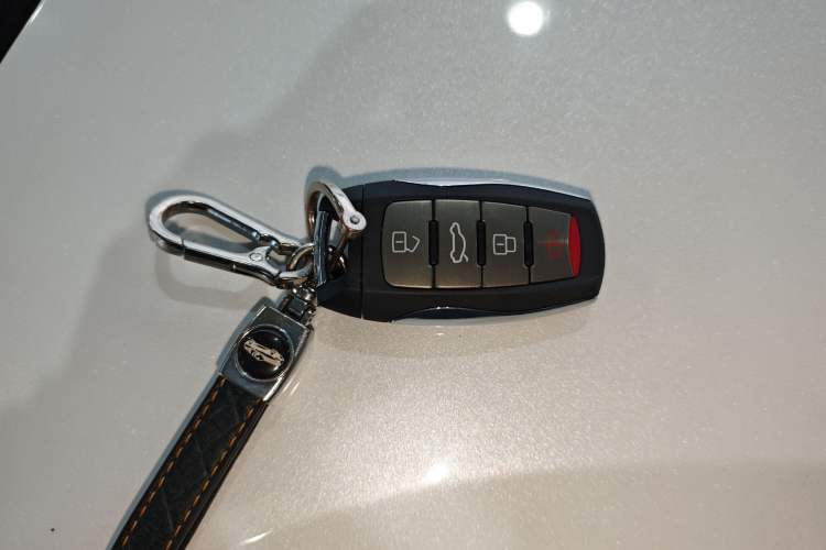 Used Haval LHERY 2021 High-Performance Version 1.5T Golden Rabbit