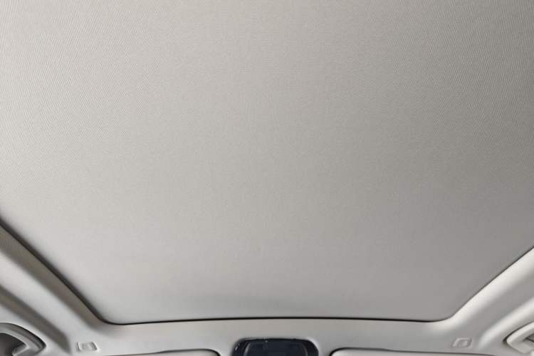 Used BMW X5 2023 xDrive 30Li Luxury M Sport Night Edition Package Headliner