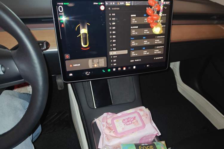 Used Tesla Model 3 2021 Revised Version Standard Range Rear-Wheel Drive Upgraded Edition 3D1
