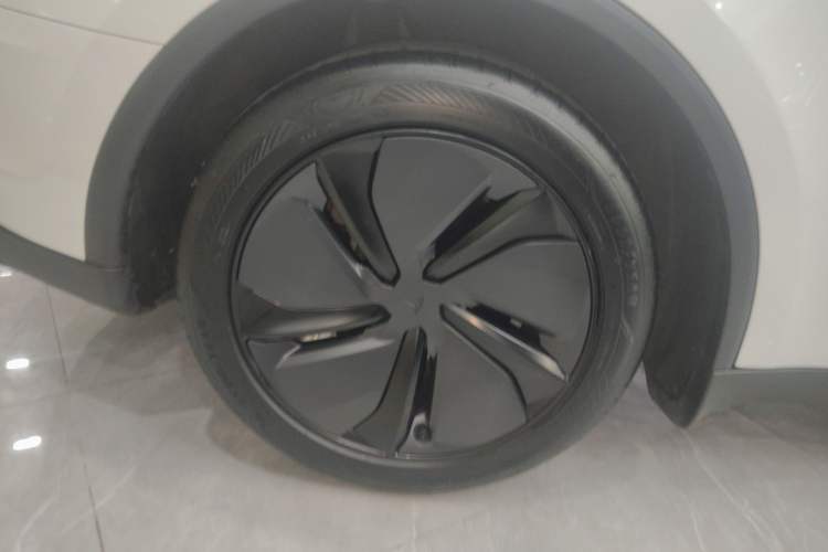Used Tesla Model Y 2025 Rear-Wheel Drive First Edition