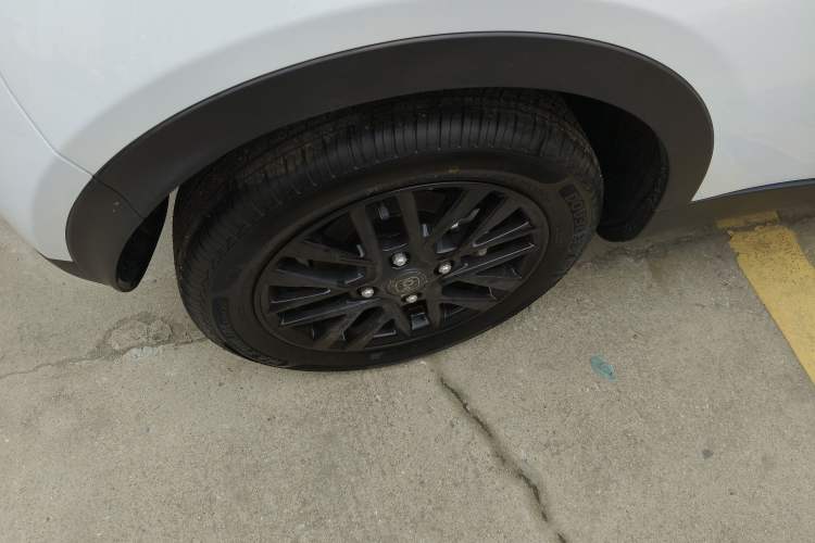 Used Chery Little Ant 2026 Model 271km True Love Version
