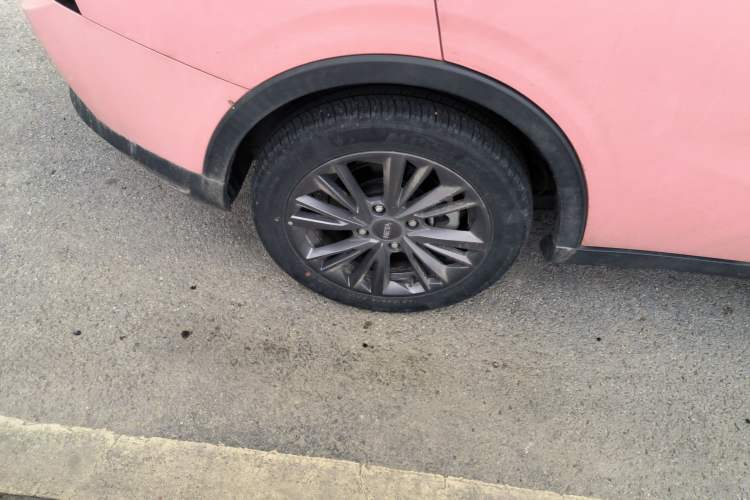 Used NETA V 2021 Witch Edition