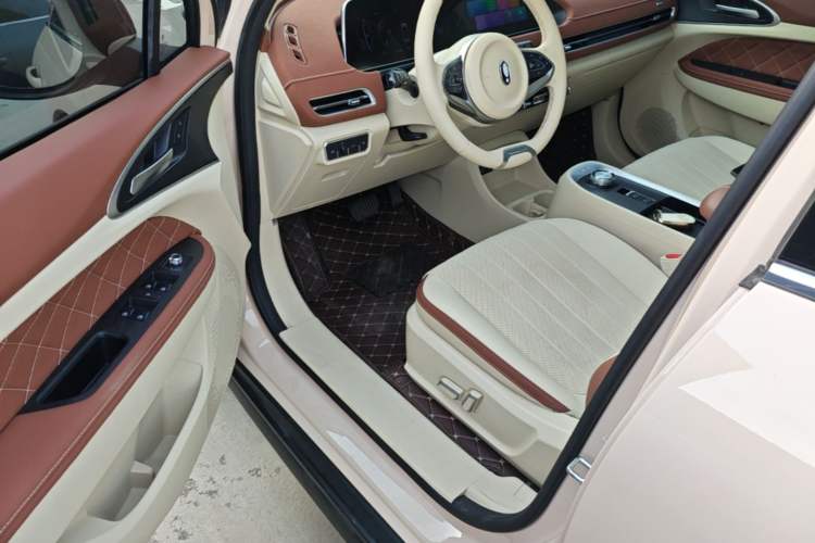 Used ORA Good Cat 2022 Morandi Edition 400km Standard Range Premium Version Lithium Iron Phosphate
