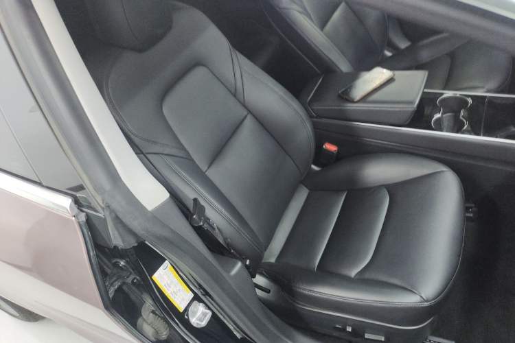 Used Tesla Model 3 2020 Standard Range Rear-Wheel Drive Upgraded Version Right Front Seat