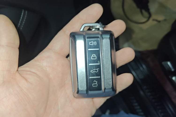 Used Tank 300 2024 2.0T Crosser