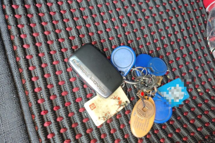 Used Land Rover Range Evoque 2015 2.0T Five-Door Zhiyao Edition