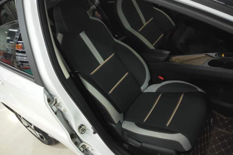 Used SOL E10X 2021 302 km Range Luxury Version 31.4 kWh