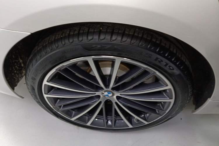 Used BMW 5 Series 2020 530Li Leading Model M Sport Package Exterior 5