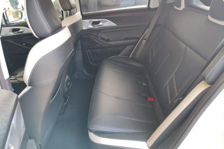 Used Geometry E Firefly 2022 401KM Lightning Tiger 4-Seater
