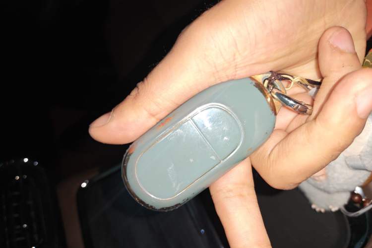 Used Leapmotor C11 2023 Range-Extended 285 Smart Enjoyment Edition Vehicle Key