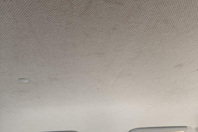 Used Wuling Hongguang 2014 1.5L Base Version Headliner