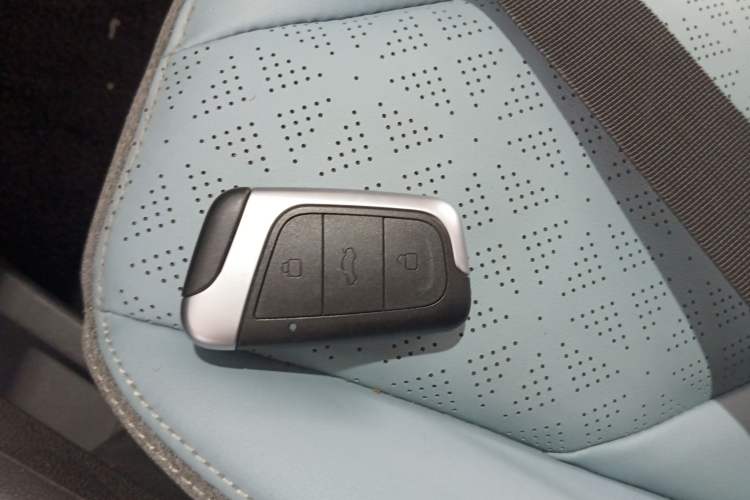 Used Chery QQ Little Ant 2023 251km True Love Edition Lithium Iron Phosphate Vehicle Key