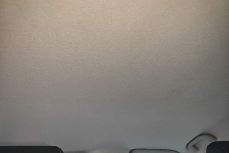 Used BYD Yuan New Energy 2019 EV535 Smart Connect Trendsetting Model Headliner