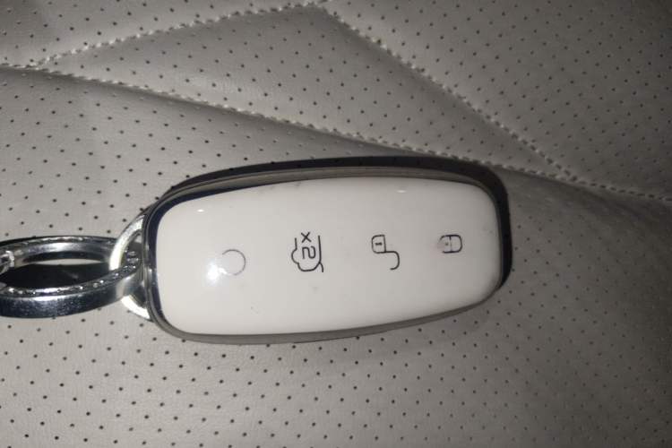 Used Denza D9 2024 DM-i 980 Four-Wheel Drive Prestige Model
