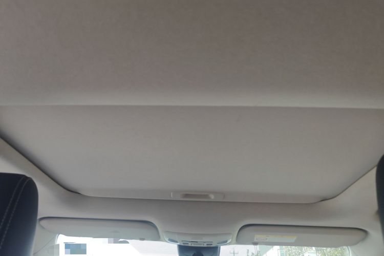 Used Toyota Corolla 2021 1.2T S-CVT Luxury Edition Headliner