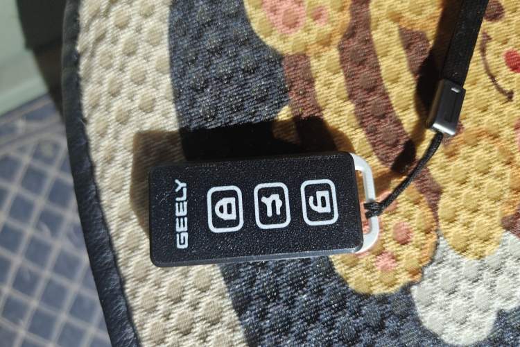 Used Geely Galaxy Panda 2025 210km Panda Rider Vehicle Key