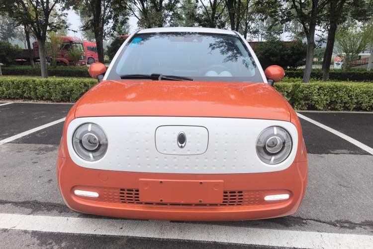 Used ORA Black Cat 2019 351 km Goddess Edition Exterior 1