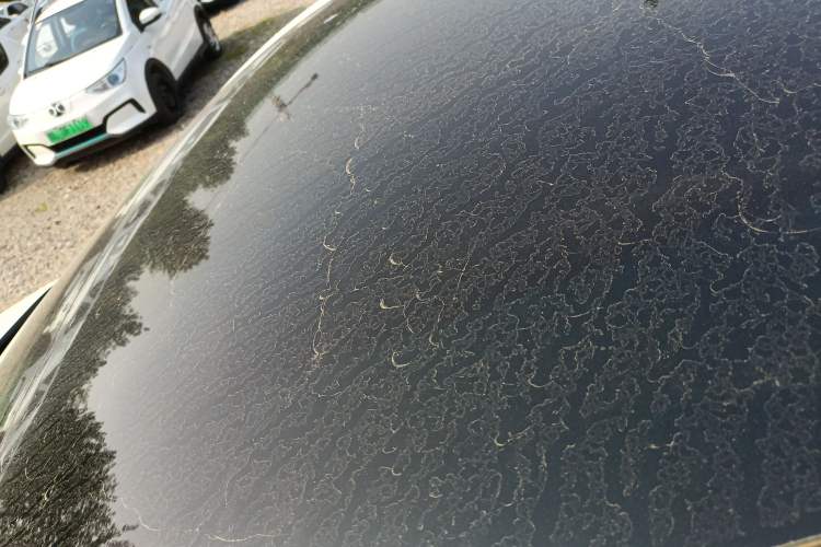 Used ARCFOX Kaola S 2024 AIR